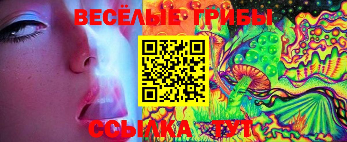 Галлюциногенные грибы MAGIC MUSHROOMS  Вход с VPN  Галлюциногенные грибы Cubensis  Татарск 