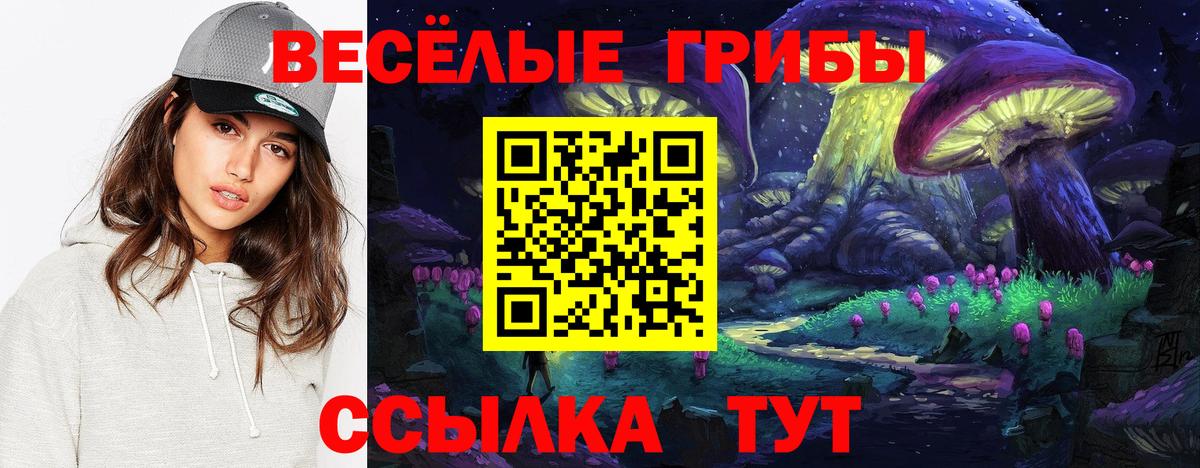 Галлюциногенные грибы Cubensis Татарск